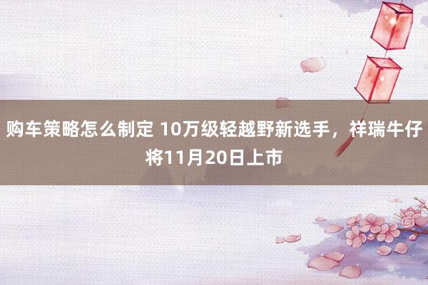 购车策略怎么制定 10万级轻越野新选手，祥瑞牛仔将11月20日上市