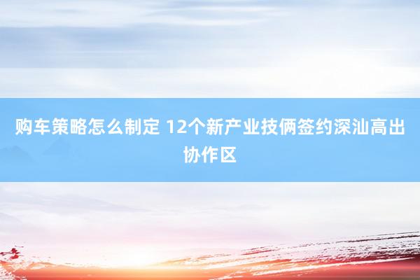 购车策略怎么制定 12个新产业技俩签约深汕高出协作区