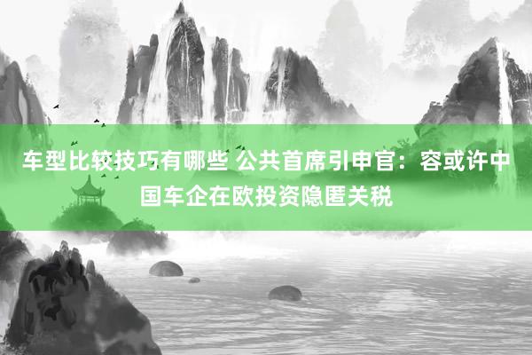 车型比较技巧有哪些 公共首席引申官：容或许中国车企在欧投资隐匿关税