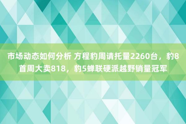 市场动态如何分析 方程豹周请托量2260台，豹8首周大卖818，豹5蝉联硬派越野销量冠军