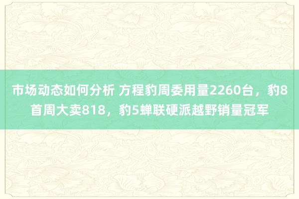 市场动态如何分析 方程豹周委用量2260台，豹8首周大卖818，豹5蝉联硬派越野销量冠军