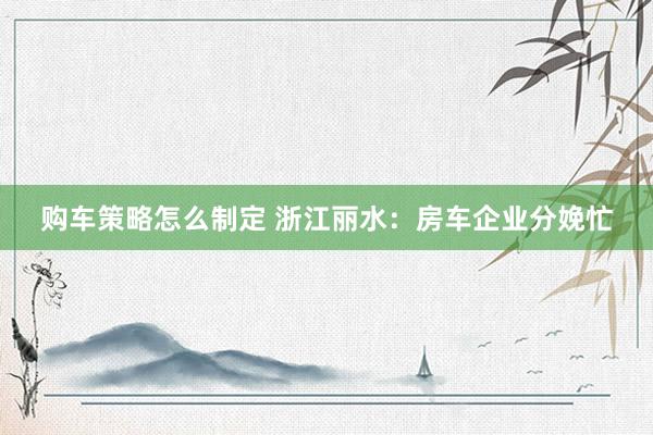 购车策略怎么制定 浙江丽水：房车企业分娩忙