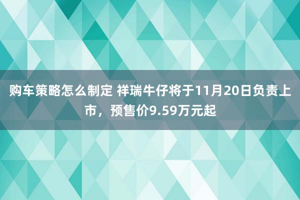 购车策略怎么制定 祥瑞牛仔将于11月20日负责上市，预售价9.59万元起