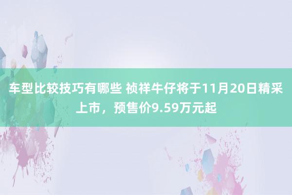 车型比较技巧有哪些 祯祥牛仔将于11月20日精采上市，预售价9.59万元起