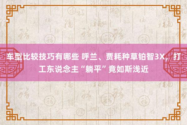 车型比较技巧有哪些 呼兰、贾耗种草铂智3X，打工东说念主“躺平”竟如斯浅近