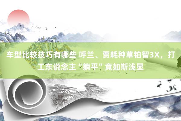 车型比较技巧有哪些 呼兰、贾耗种草铂智3X，打工东说念主“躺平”竟如斯浅显